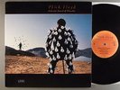 Pink Floyd  Live Delicate Sound Of Thunder
