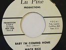 MACK RICE-BABY I'M COMING HOME-R&B NORTHERN 45 on LU PINE