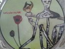 NIRVANA - incesticide LP PICTURE DISC HYPER RARE VINYL