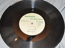 THE STINGRAYS unreleased ACETATE primitive surf garage wild guitar HEAR IT