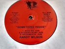 RANDY WILSON   *   Something Inside / Patience *  RARE MODERN SOUL 12 