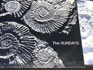 THE SUNDAYS : READING WRITING AND ARITHMETIC - COLOURED VINYL LP
