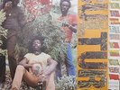 CULTURE INTERNATIONAL HERB VIRGINS FRONT LINE FL 1047 REGGAE ROOTS RARE VINYL LP