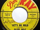 * ALVIE SELF Let's Go Wild/Nancy RARE ROCKABILLY BOPPER Arizona 45 Don Ray HEAR