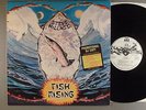 Steve Hillage  Fish Rising   Prog  White Label Promo    Gong