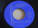 the fabulous apollos * some good in everything bad * VALTONE 105
