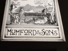 Mumford & and Sons Love Your Ground Limited Edition 10