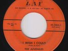 Garage 45 - Juveniles - I Wish I Could - Zap - mp3