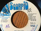 Michael Palmer - My Region RARE