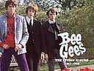 The Studio Albums 1967-68 [Box] [12 inch Vinyl Disc] by Bee Gees (The)...