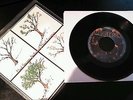 MAD SEASON - Locomotive 7