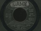 THE RAYS Love Another Girl RARE NORTHERN SOUL PROMO 45 on AMY 900