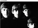 Beatles - With The Beatles  180gm Vinyl (2012, Vinyl NEW)