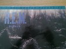 R.E.M Murmur half speed master limited edition vinyl