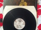 Ian A Anderson - A Vulture Is Not A Bird You Can Trust Prog Psych Folk Lp