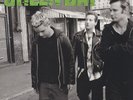 Green Day - Warning Pink Vinyl Edition US LP