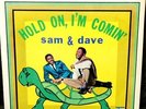 SAM and DAVE 