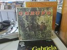 O GRUPÓ S/T(1968) LP 1968 ORIGINAL BRAZIL PSYCHO TROPICALIA