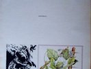 GORFFENNWYD - Welsh Language Rock Opera - Rare item