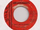 UNTOUCHABLES : Don't Go I'm Beggin (WASP 105)Rare NW Garage Punk Fuzz 45  LISTEN
