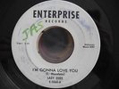 LAZY EGGS GREAT MICHIGAN GARAGE 45 ENTERPRISE 5060 I'M GONNA LOVE U HEAR IT