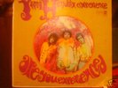 The Jimmy Hendrix Experiencem Are You Experienced? FREE Postage in USA