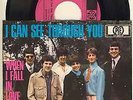 Episode Six I can See Through You - When I Fall In Love - Beat - rar