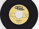 The Dreamers, Tears In My Heart on Grand #131, Original RARE 45rpm