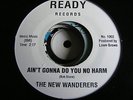 THE NEW WANDERERS-AIN'T GONNA DO YOU NO HARM/LET ME RENDER-READY