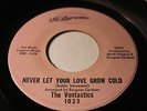 NORTHERN SOUL 45/ THE VONTASTICS 
