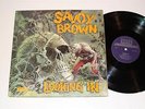 *EX+* SAVOY BROWN 