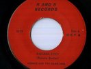 Ronnie & The Ramblers 