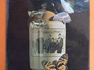 FAMOUS JUG BAND SCARCE UK PSYCH/FOLK =SUNSHINE POSSIBILITIES
