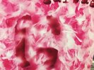 Garbage Vinyl Self Titled