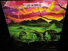 STILL SEALED  = RARE 1969 WEST COAST Soft Psych MORNING ex 