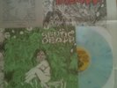 Septic Death ORIGINAL ISSUE LP 145/275 Blue Swirl Vinyl Need So Much Attention