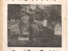 HORNSEY AT WAR..DEAD BEAT REVIVAL...7