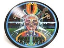 CLUTCH**EARTH ROCKER LIVE (LIMITED EDITION PICTURE DISC)**2 VINYL SET