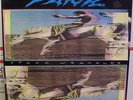WIDESPREAD PANIC Space Wrangler U.S. Original 1988 Vinyl 12