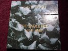 Kate Bush - The Single File 1978 - 1983 (7