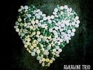 Alkaline Trio - This Addiction Vinyl LP