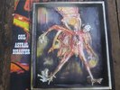 COIL - ASTRAL DISASTER - Rare GREY vinyl - Original Release in Mint condition