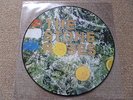 THE STONE ROSES  ORIGINAL PICTURE DISC 1989  LP SILVERTONE ORE LP 502 P (1989 )