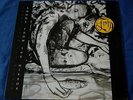 Fish - Songs From The Mirror - 1993 UK Vinyl LP NEAR MINT