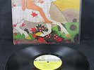 FLEETWOOD MAC PETER GREEN 
