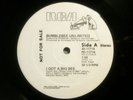 BUMBLEBEE UNLIMITED - i got a big bee b/w space shuttle ride instr. - RCA -PROMO