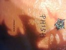 A PICTURE OF NECTAR PHISH LP RECORD LE 7500 JEMP RANDALLS FOR POLLOCK POSTER FAN