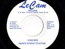 Mod New Breed R&B 45 BERRY STREET STATION King Bee/I Don't Care No More Le Cam