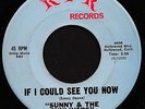 Funk Northern Soul 45 SUNNY & THE SUNLINERS If I Could See You Now RPR VG+ MP3