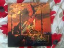 Erkin Koray Shadoks 2 Lp Turkish Psych Lp